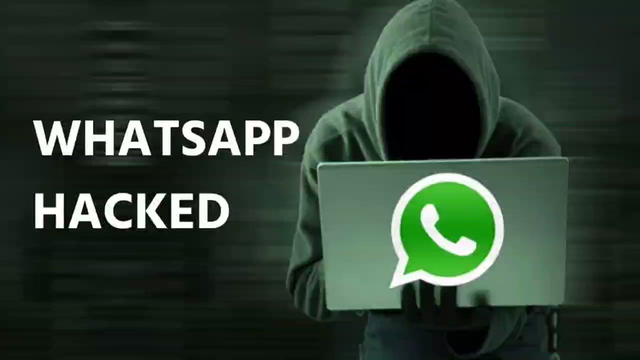 Hacked whatsapp recovery